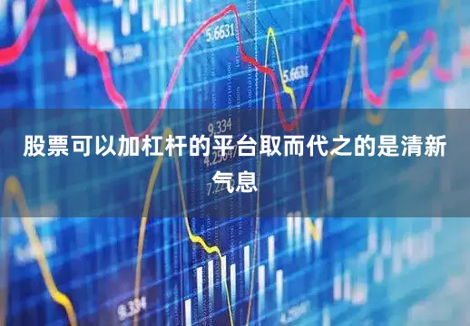 股票可以加杠杆的平台取而代之的是清新气息