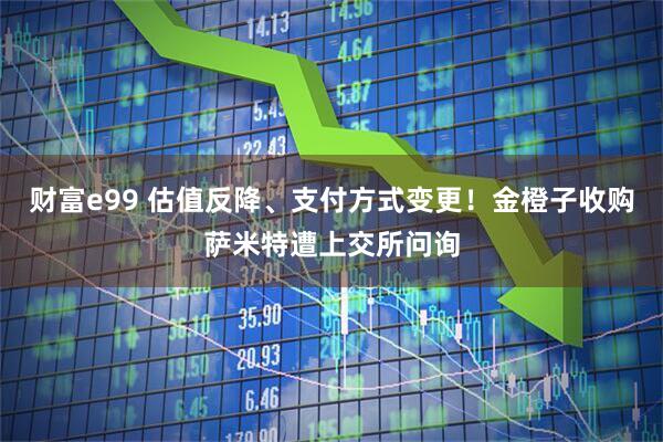 财富e99 估值反降、支付方式变更！金橙子收购萨米特遭上交所问询